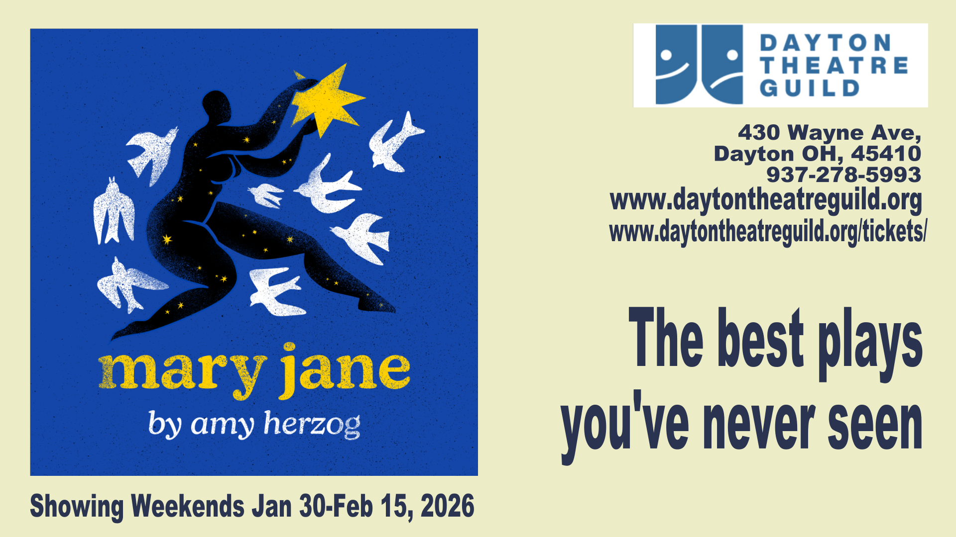 MARY JANE, by Amy Herzog, at The Dayton Theatre Guild