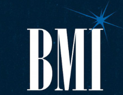 BMI icon