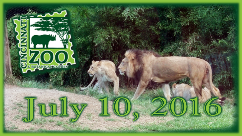 Cincinnati Zoo