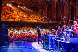 Pic from back stage POV of Ringo's All Starr Band 2014, with Todd Rundgren playing his guitar stage left