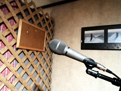 The microphone on a boom stand in the 'Jerry Rigg' studio area of my apartment